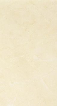 Настенная плитка Beige Classico RT 30.5*56