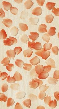 Декор Petali Dorato Inserto 30.5*56