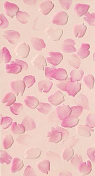 Декор Petali Rosa Inserto 30.5*56