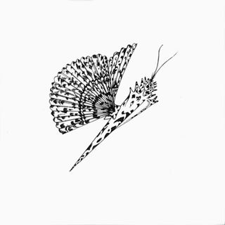 Bardelli Madama Butterfly декор BE20 10 20*20