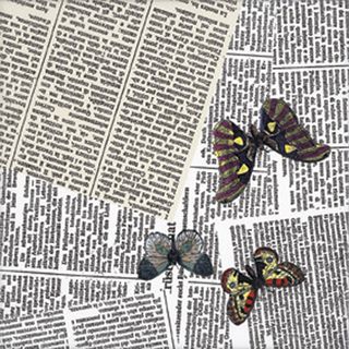 Bardelli Ultime Notizie декор 8 BE20 20*20