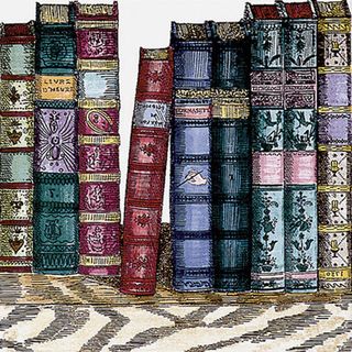 Bardelli Liberia декор BE 3 20*20