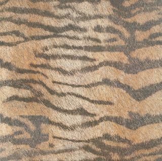 Cifre Animals напольная плитка Pav. Tiger 45*45