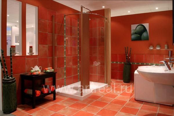 Керамическая плитка Arkadia Nuovi Colori в интерьере