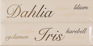 ABK Etoile бордюр Listello Lettering Cipria (2 part.) 20*5