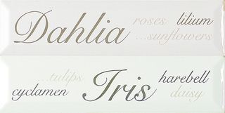 ABK Etoile бордюр Listello Lettering Perla (2 part.)  20*5
