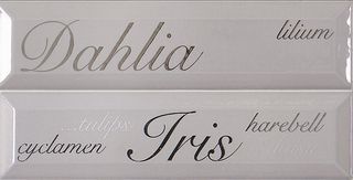 ABK Etoile бордюр Listello Lettering Fumo (2 part.)  20*5