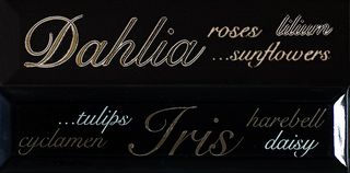 ABK Etoile бордюр Listello Lettering Nero (2 part.) 20*5