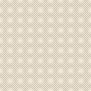 Vives Candem напольная плитка Prince Beige 20*20