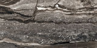 Mariner Rain Forest керамогранит Rain Forest Dark 90*45