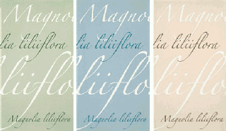 Панно Dream Parole Inserto S/3 119081 75*45