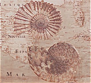 APE Purity декор Decor Ocean II Sand 25*22.5