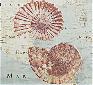 APE Purity декор Decor Ocean II Aqua 25*22.5