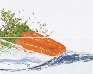 Halcon Splash декор Dec. Splash Naranja 50*40