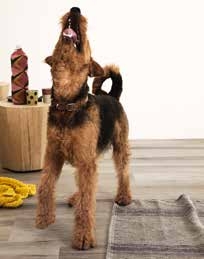 Керамогранит Novabell My Space