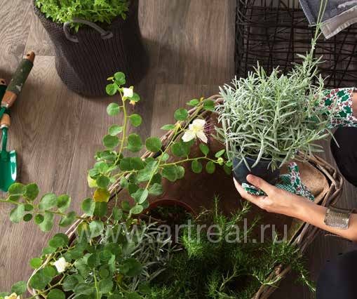 Керамогранит Novabell My Space