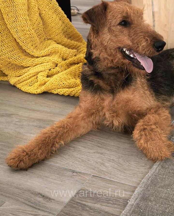 Керамогранит Novabell My Space