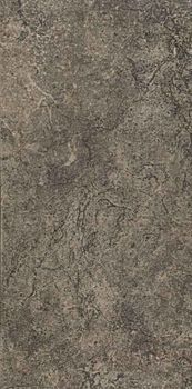 Gardenia (Versace) Palace Riv. керамогранит 008720 Nero 19.7*39.4