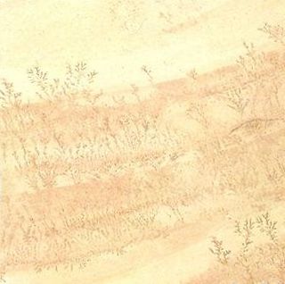 Keros Fernstone напольная плитка Fernstone Beige 33*33