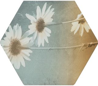 Benestica Toscana керамогранит Acuarelas Mix18 29*25.8