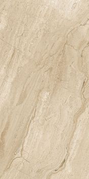 Villeroy&boch Tribute керамогранит 2394SE1L 60*30