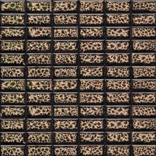 Gaudi Brick мозаика BRIK-5(4) 29.8*29.8