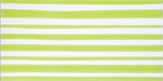 Pamesa Agatha декор 1 Lineas Pistacho 25*50