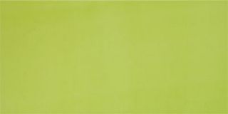 Pamesa Agatha настенная плитка Pistacho 25*50