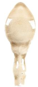 Adex Modernista спец. элемент Angulo Moldura Italiana PB Nº 3 C/C Sand 5*2.3