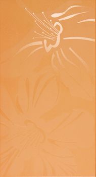 Iris Romantica декор Fiorile arancio 25*46