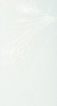 Iris Romantica декор Incanto Acquamarina 25*46