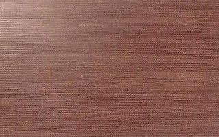 Roca Ceramica Geo Wenge